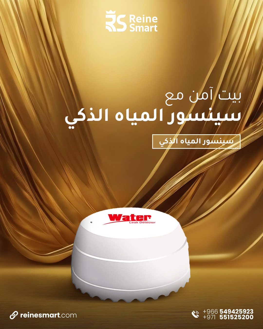 Social Media Designs for Reine Smart — 5