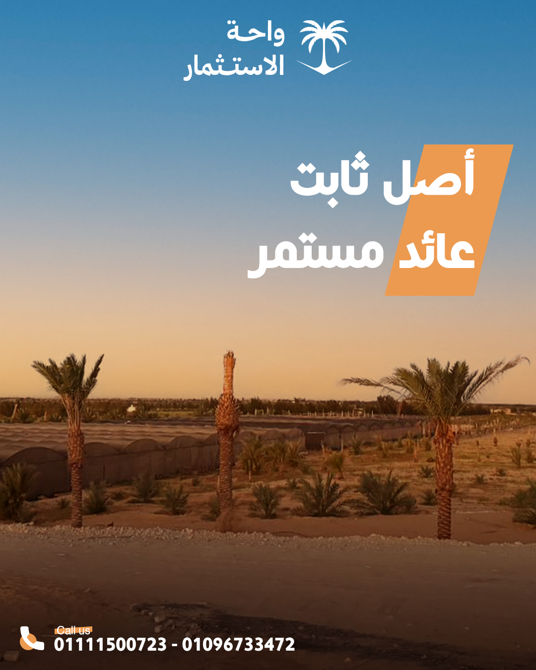 Social Media Designs for Wahet Al Estethmar — 3