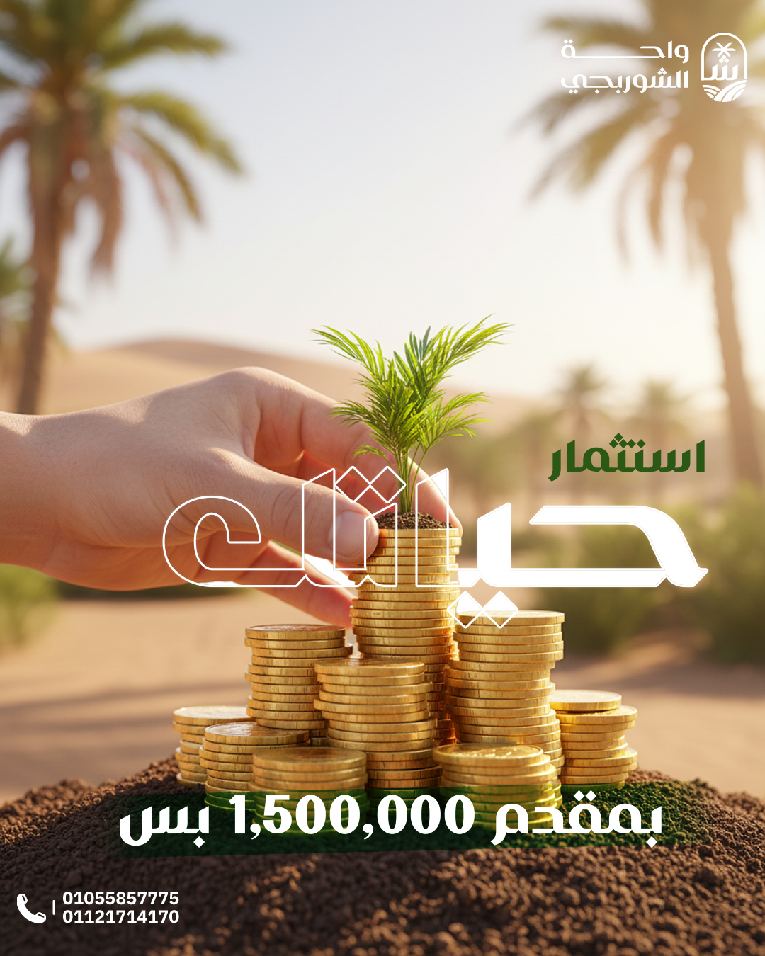 Social Media Designs for El Shorbagy Oasis — 3