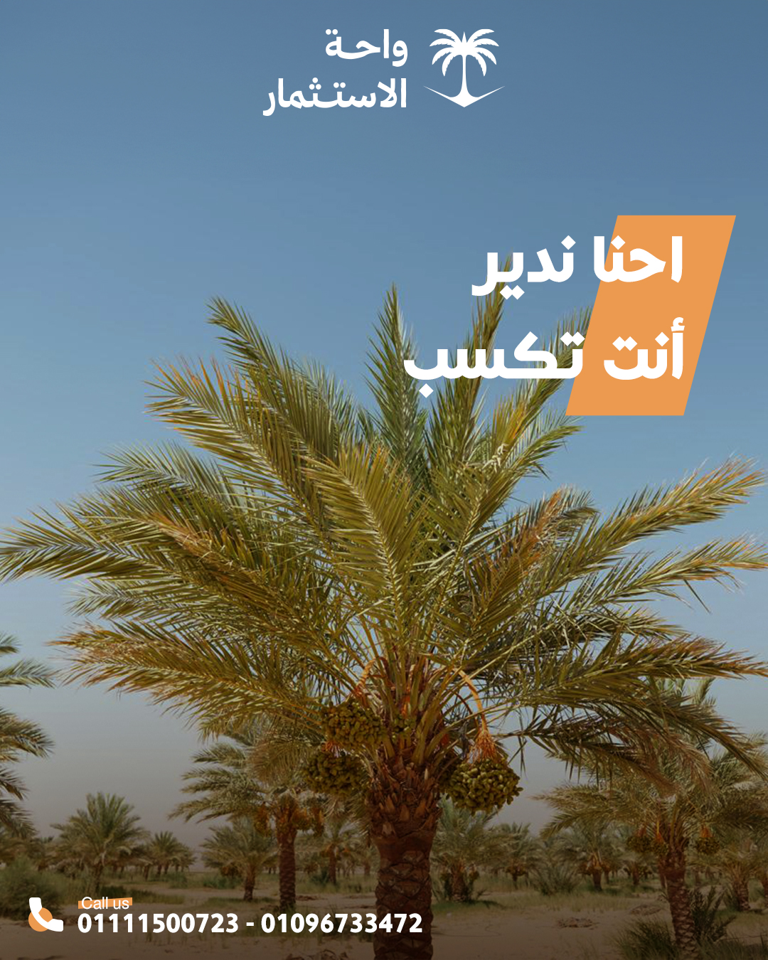 Social Media Designs for Wahet Al Estethmar